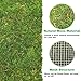 kathson Reptile Carpet, Natural Moss Mat for Terrarium, Bearded Dragon Tank Flooring Green Substrate Liner for Leopard Gecko Hermit Crab Lizard Tortoise (47.24