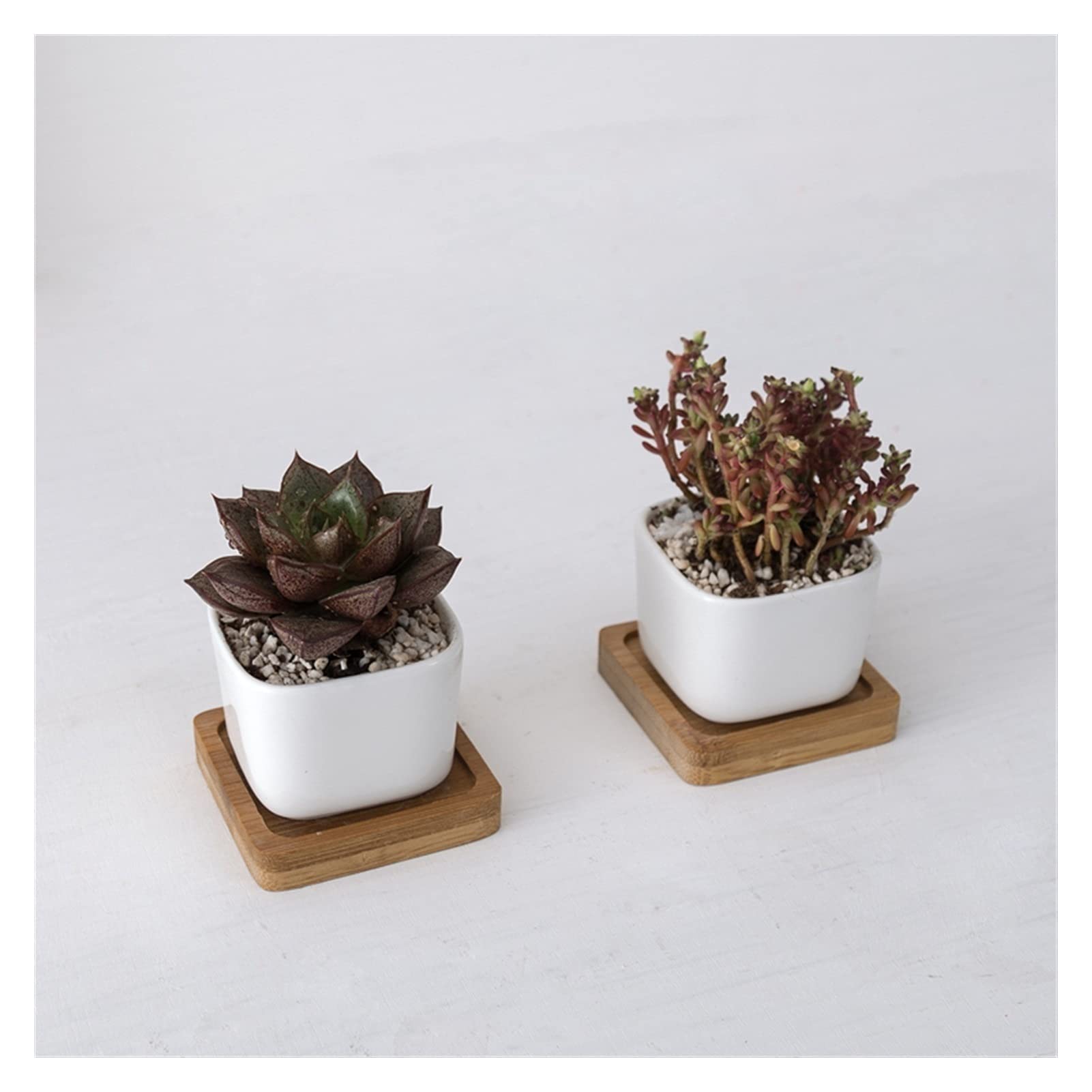 Doniczka 2 sztuki geometryczna biała ceramiczna kwadratowa doniczka do Bonsai mała doniczka na sukulenty nowoczesny mały kaktus doniczka taca doniczka
