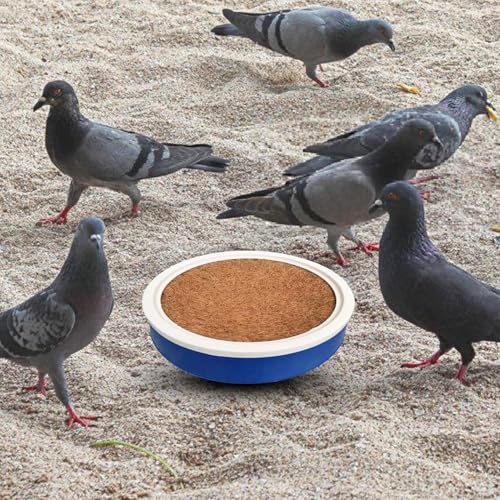 Nid d'éclosion pour pigeons évitant les œufs cassés en cage - 3