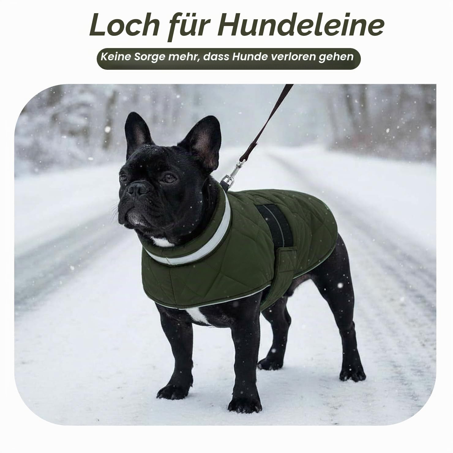 ASENKU Hundemantel Winter XL – Wasserdicht & Winddicht für Grosse Hunde | Fleecegefüttert, Reflektoren, verstellbarer Riemen. Warm Hundejacke für Border Collie, Boxer winterliche Spaziergänge