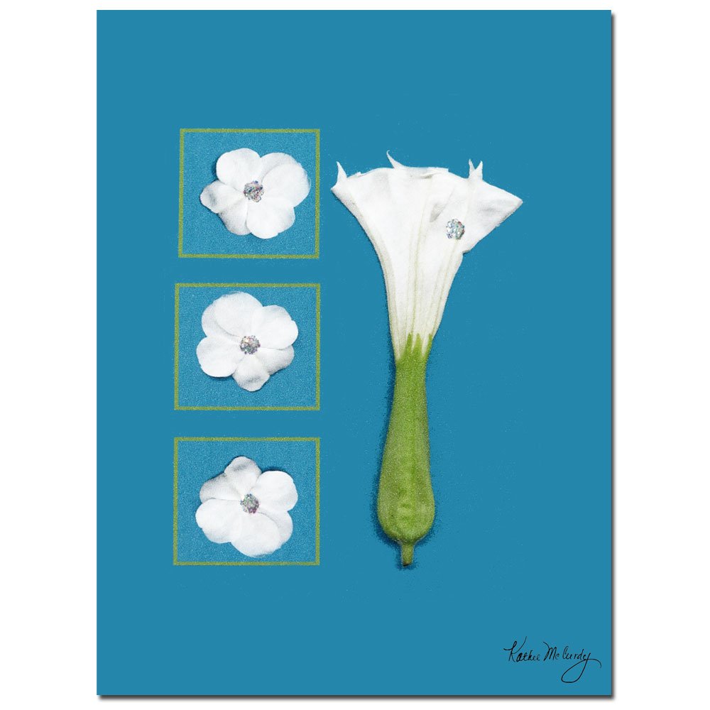Moonflower by Kathie McCurdy, 18x24-Inch Canvas Wall Art