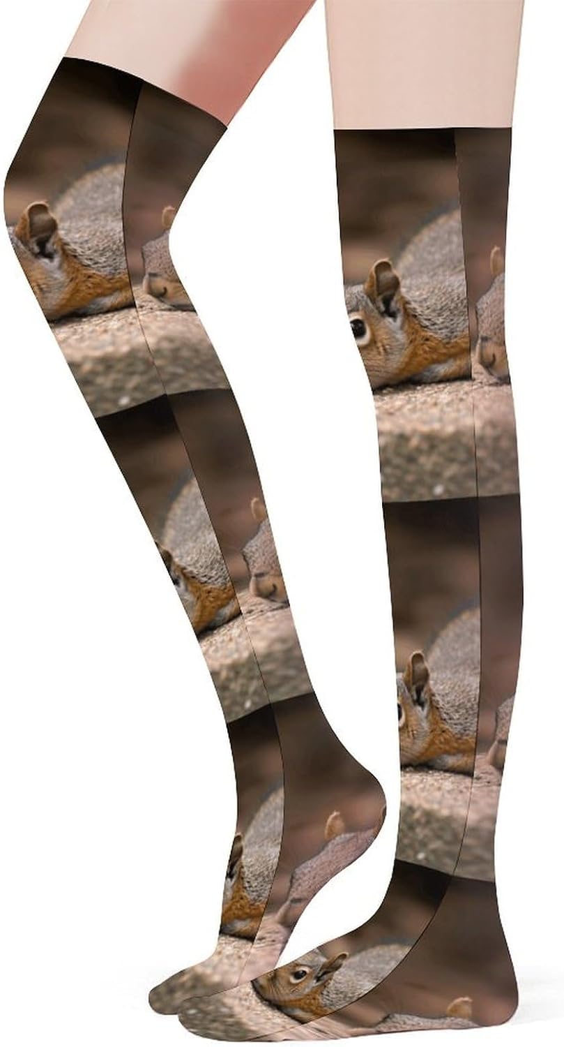 Squirrel Just Laying Knee High Stockings for Women 23.6" Breathable Thigh High Stockings Over The Knee Socks