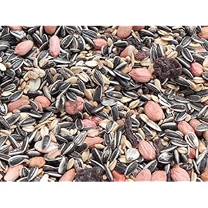 Classic Bird Wildvogelfutter ohne Hirse 2,5kg im Eimer (Menge: 4 je Bestelleinheit)