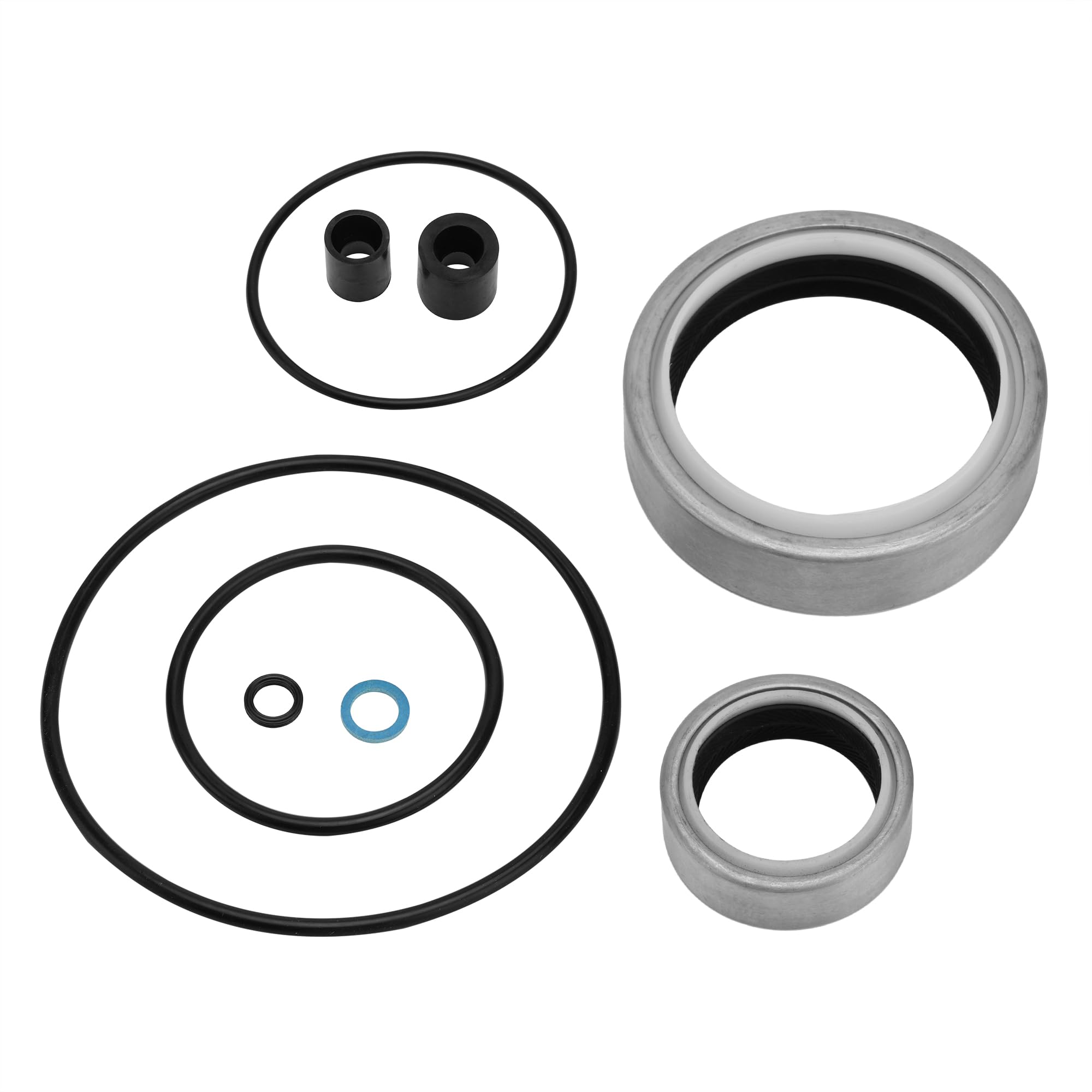 こぬページ Amazon.com: Lower Gearcase Seal Kit Replaces 26-861695 & 26