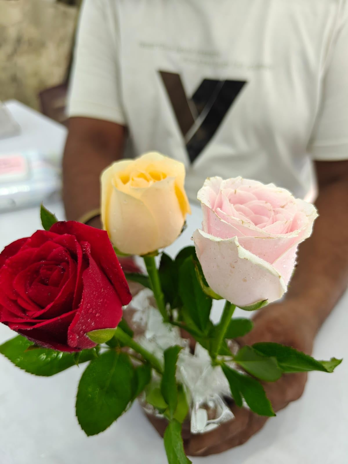 Esselkay Real Live Rose Flower 3 Stems Multicolor Red Yellow Pink | Fresh Cut Roses, 3 Piece Combo, Natural Flowers, Decorative Stems, Gifting & Decor-image-31