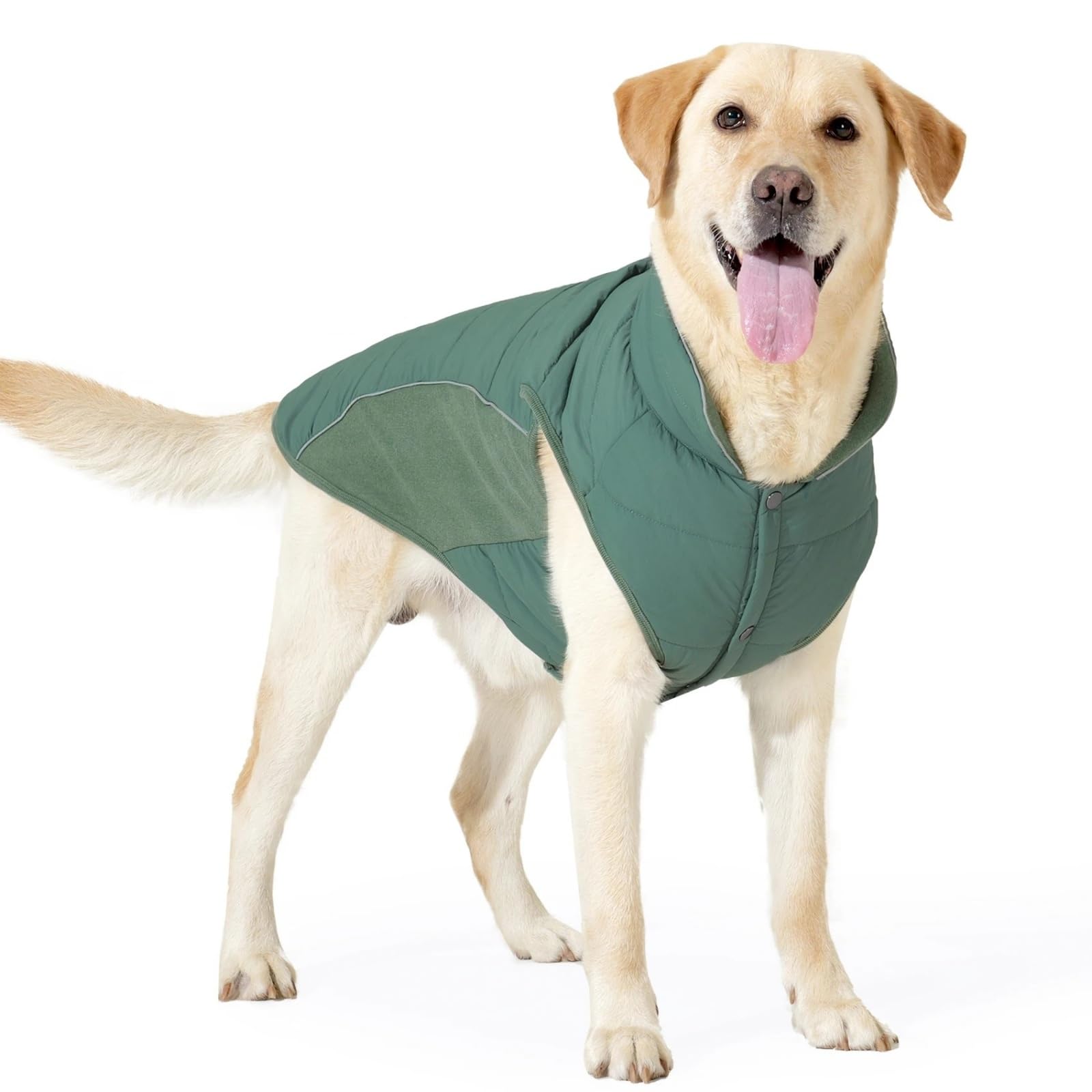 Manteau d'hiver chaud pour grand chien 3XL vert avec col haut et polaire imperméable