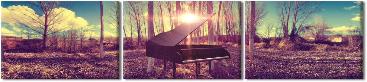 TUMOVO 3 Piece Wall Decorations for Living Room Music Wall Art Black Grand Piano Poster Prints on Canvas Modern Forest and Sunset Home Decor Framed Ready to Hang (12x16 inch x 3)