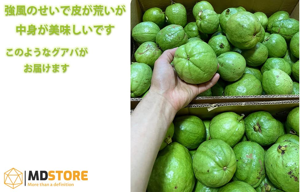 Amazon.co.jp: MDSTORE 沖縄グリーングアバ・Okinawa green guava・Ổi