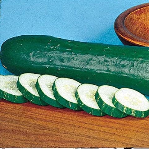 Park Seed Cucumber Tasty Green Hybrid Cover