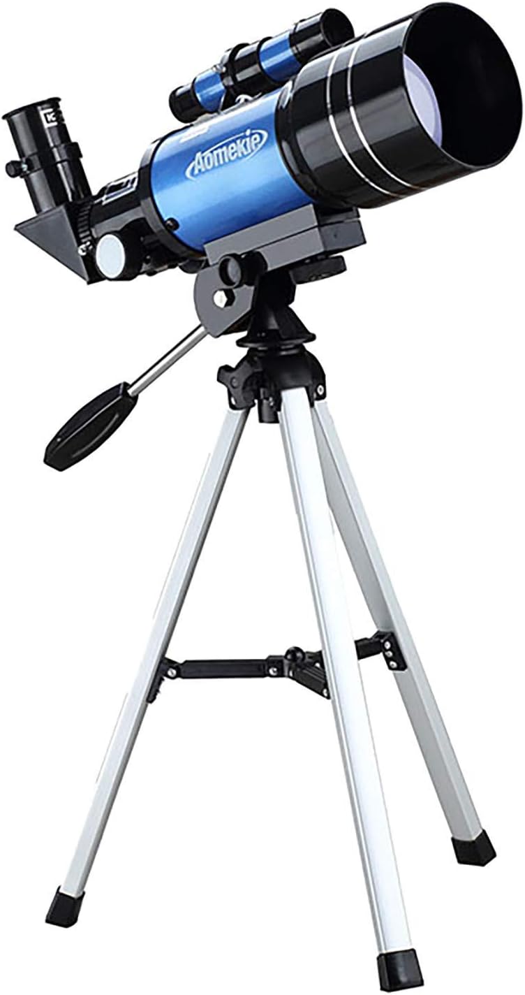 チェロ ヒューメビアンカ サイズ4/4 本体 弓 付属品 チェロ