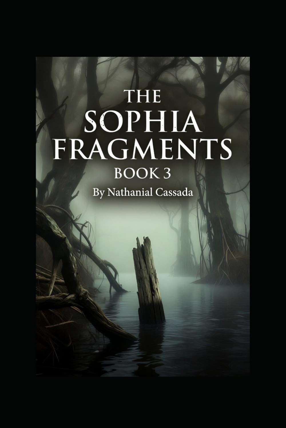 The Sophia Fragments Book Three: The Maniac, The Lost Colony: 3