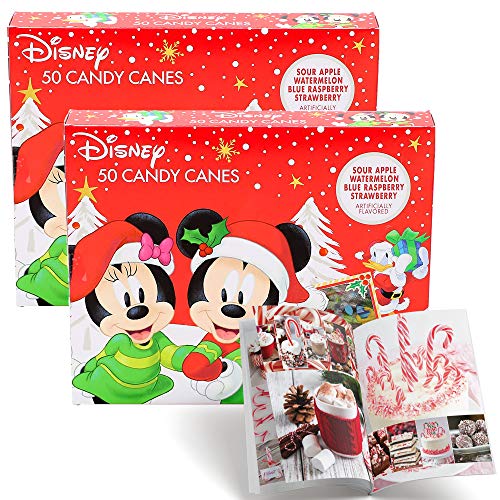 Mini Candy Cane | Fruit Flavored; Sour Apple, Watermelon, Blue Raspberry & Strawberry | Free Creative Idea Booklet Included