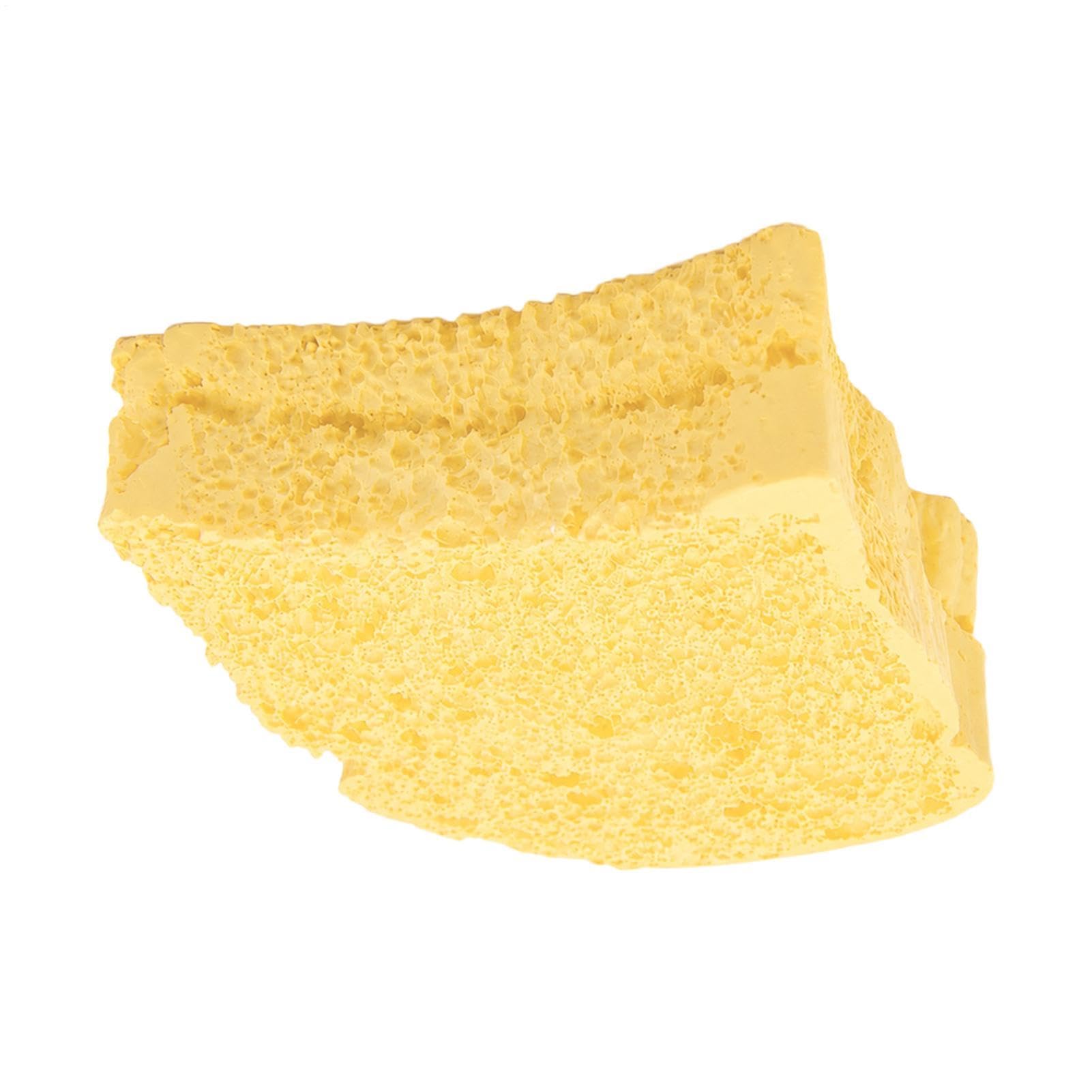 Reptile Shedding Aid Realistic Toast Bread Shape Scratch-Resistant