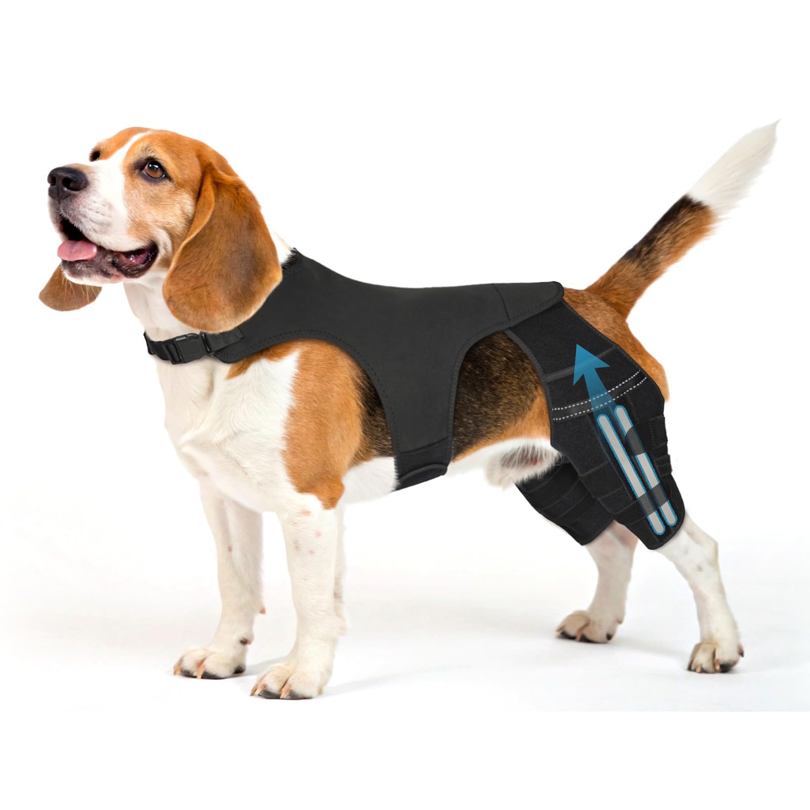 Pawfun Dog Knee Brace with 4 Metal Stabilizers