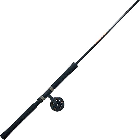 b&m fish pole reel combo