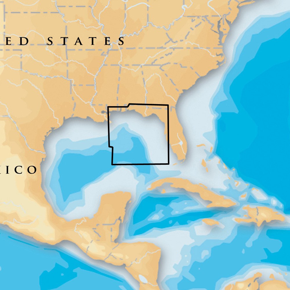 Navionics Platinum Plus - East Gulf of Mexico - microSD/SD