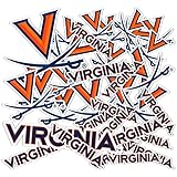 Desert Cactus University of Virginia Sticker Cavaliers UVA WahoosVinyl Decals Laptop Water Bottle Car Scrapbook Sheet T1 (Type 1-1)