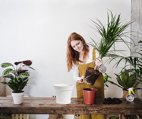 Miniatura 3 de Macetas de 7 pulgadas para plantas, 9 macetas de plástico blanco con platillos y múltiples agujeros de drenaje para todas las plantas de la casa,