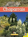 chaparral 2j gt5  Chaparrals