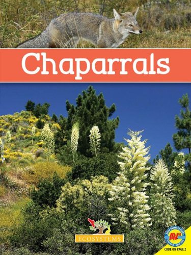  Chaparrals