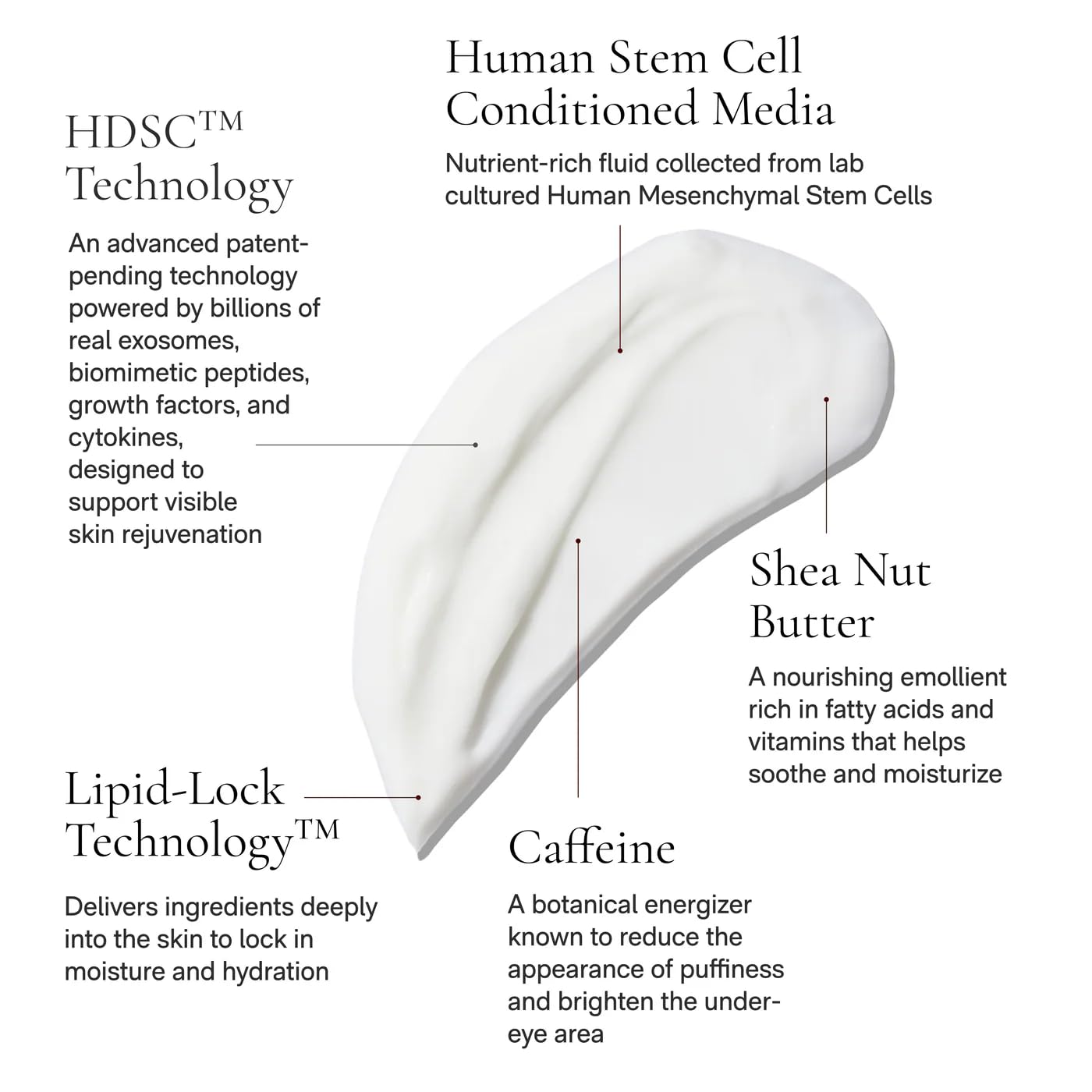 Angela Caglia Cell Forté Eye Crème – Eye Cream with Exosomes, Peptides & Growth Factors | Stem Cell–Powered Skincare for Puffiness & Dark Circles | Luxury Skincare