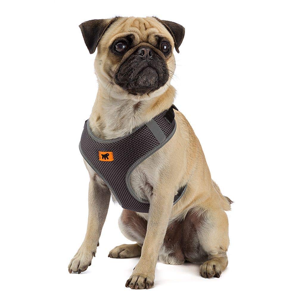 Ferplast Small Dog Harness NIKITA XS, Breathable Cat Harness, Padded and Adjustable, Easy to Wear, Reflective Edges - Image 3