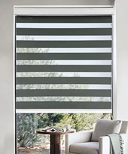 Windows Blinds, Zebra Roller Window Shades Horizontal Light Filtering Sheer Window Treatments Privacy Light Control Day and Night 32 Inch Blinds for Kitchen Bathroom, 32" W x 72" H Dark Gray