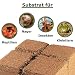 Humusziegel -70 L Bloque de Coco Basura para Reptiles, terrario sustrato terrario,...