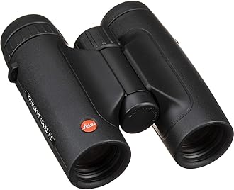 Leica Camera 40317 Trinovid HD Binoculars, Black, 10X/32 mm