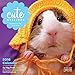 Cute Overload Wall Calendar 2016