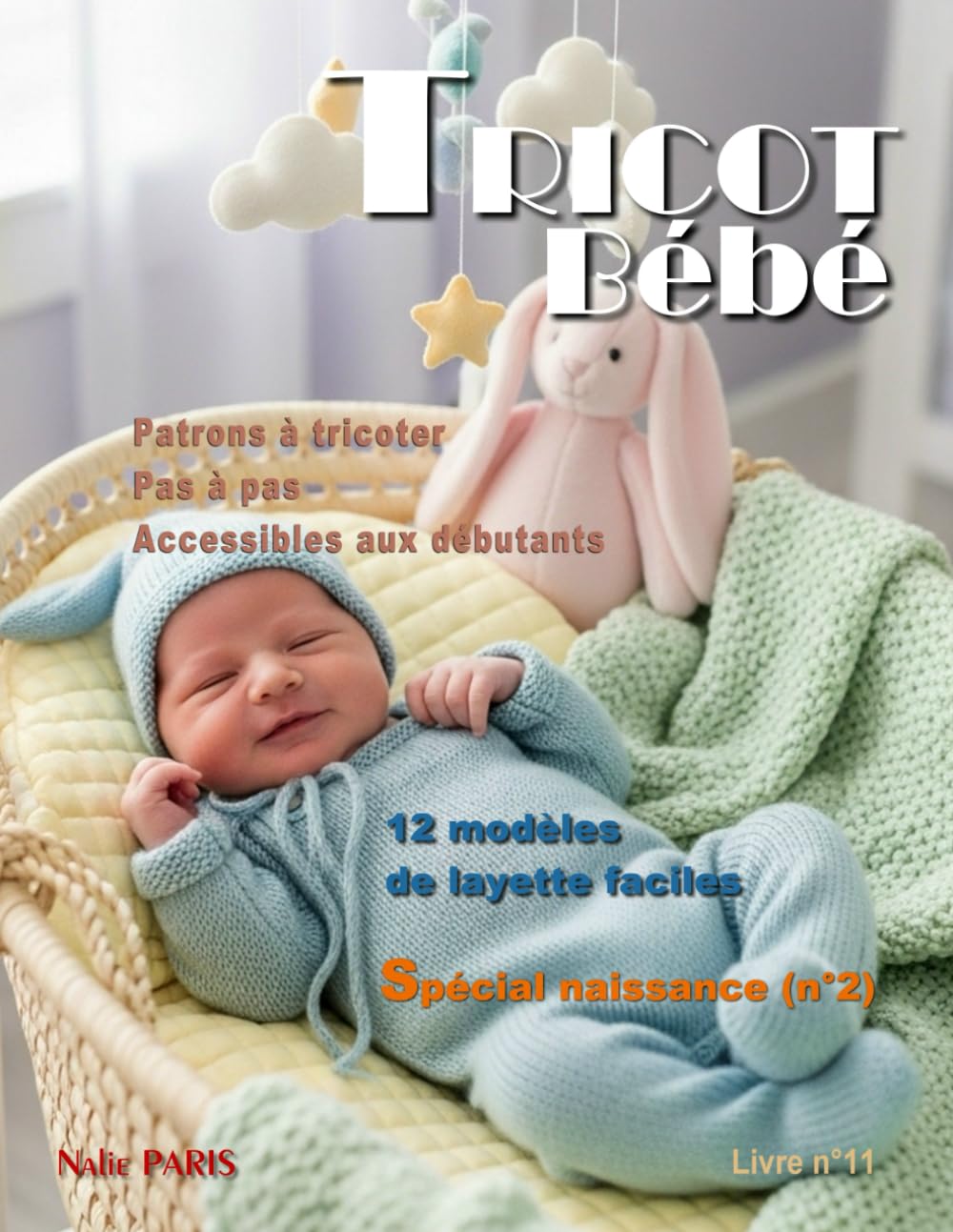 Tricot bébé Naissance – 12 modèles de layette faciles / Livre n° 11: Patrons à tricoter pas à pas, accessibles aux débutants (TRICOT BÉBÉ - CATALOGUE LAYETTE - PATRON À TRICOTER)
