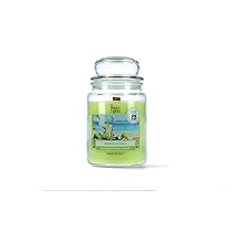 Magic Lights – Candela giara 510 gr Mojito con cera vegetale min. 75% – stoppino in legno naturale che scoppietta, Made in Italy