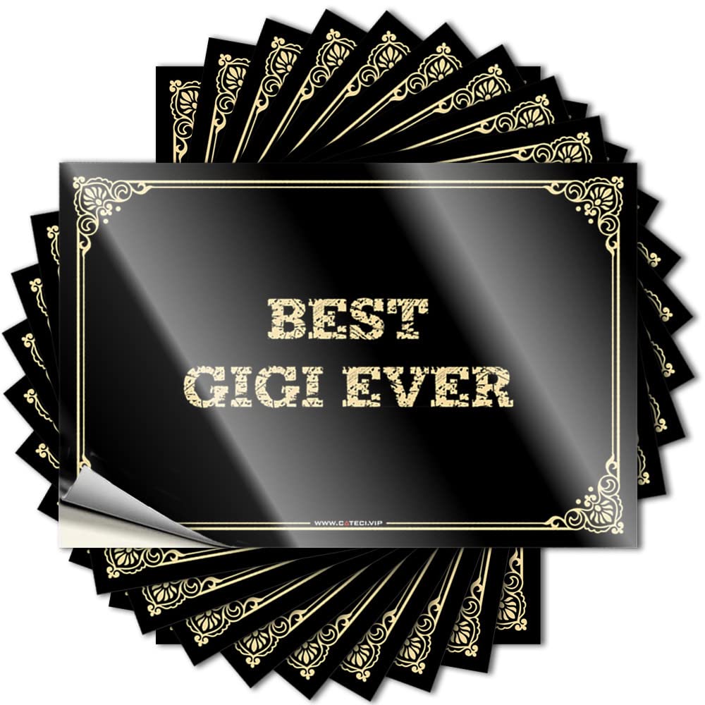 Fzfn Colour Quote Entryway Decor Durable Vinyl - Best Gigi Ever Bottle For Science Use(6X9cm)