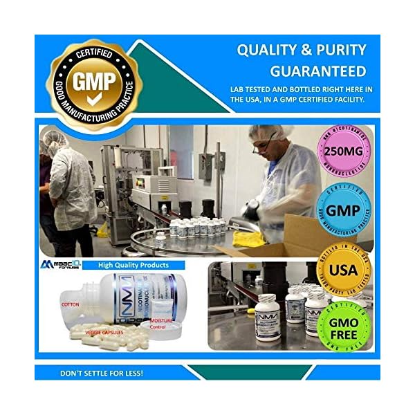 M MAAC10 1000mg Nutritional Supplement Capsule with NMN Nicotinamide Mononucleotide NAD+ Supplement, Stabilized Form…