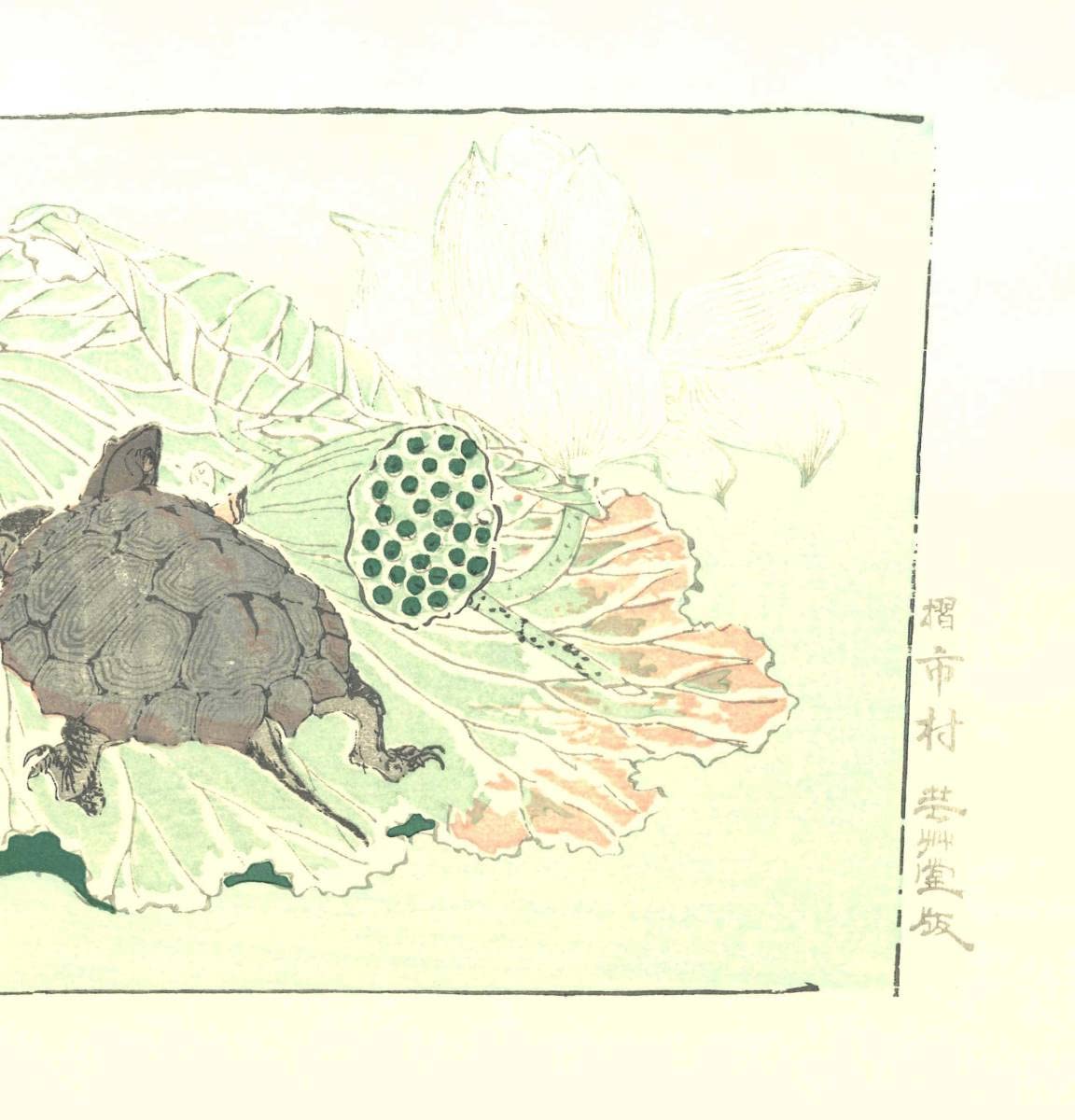 Amazon.co.jp: 河鍋暁斎 (1831-1889) 木版画 亀 没後120年記念 木版摺