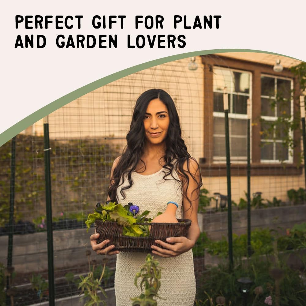 Growoya Garden OYA Small Watering Pot Plant Irrigation System Sustainable Traditional Olla Watering Smart Underground Watering Available for Garden Beds Raised Beds and Grow Bags