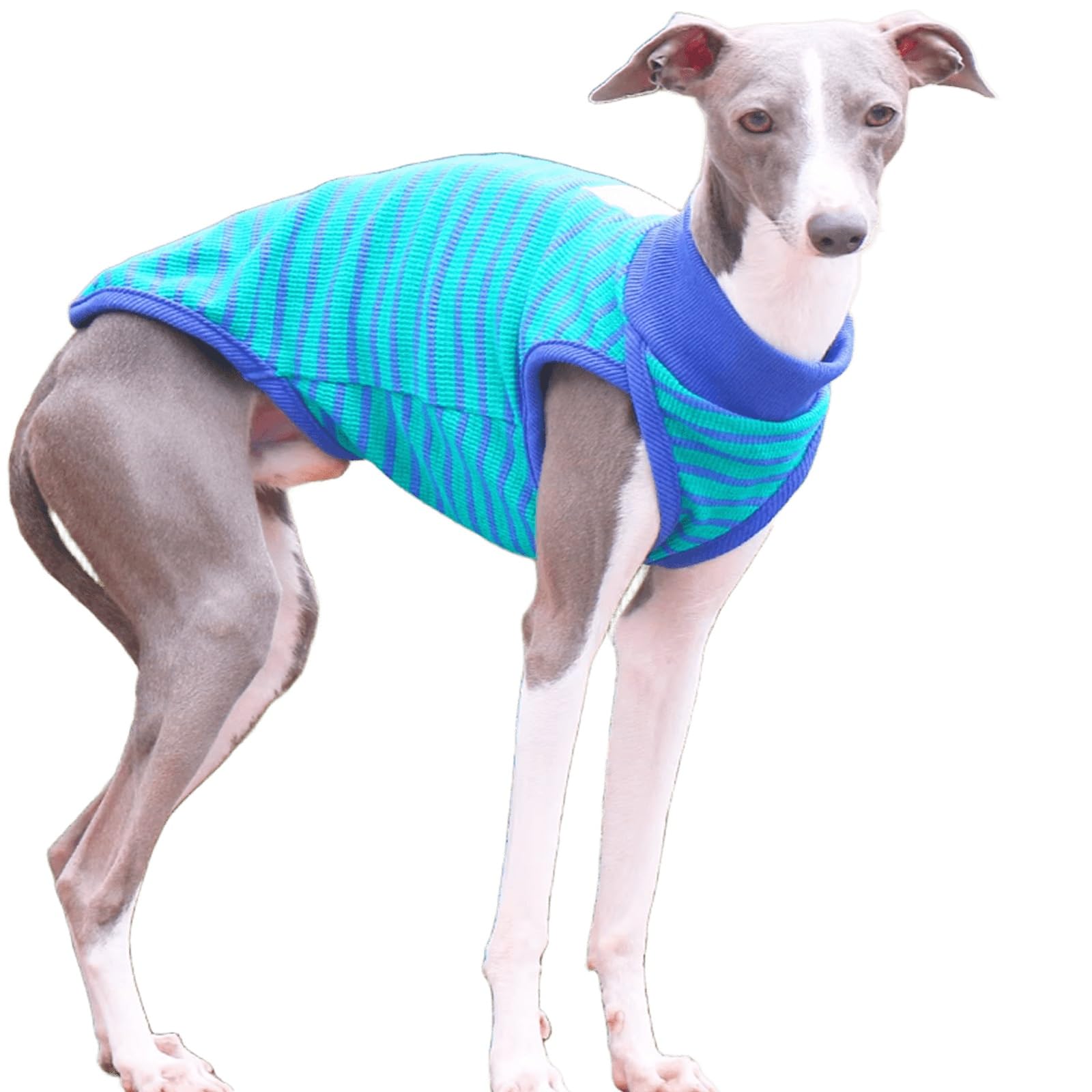 Striped Dog T-Shirt Lightweight Dog Tank Tops Vest for Italian Greyhound & Whippet Shirt Summer Pet Clothes(Green,3XL)