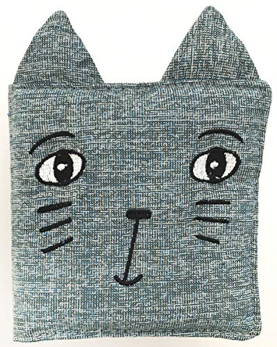 Friendly Faces: In the Garden (2020 Edition): Baby's First Soft Book (Wee Gallery Cloth Books)