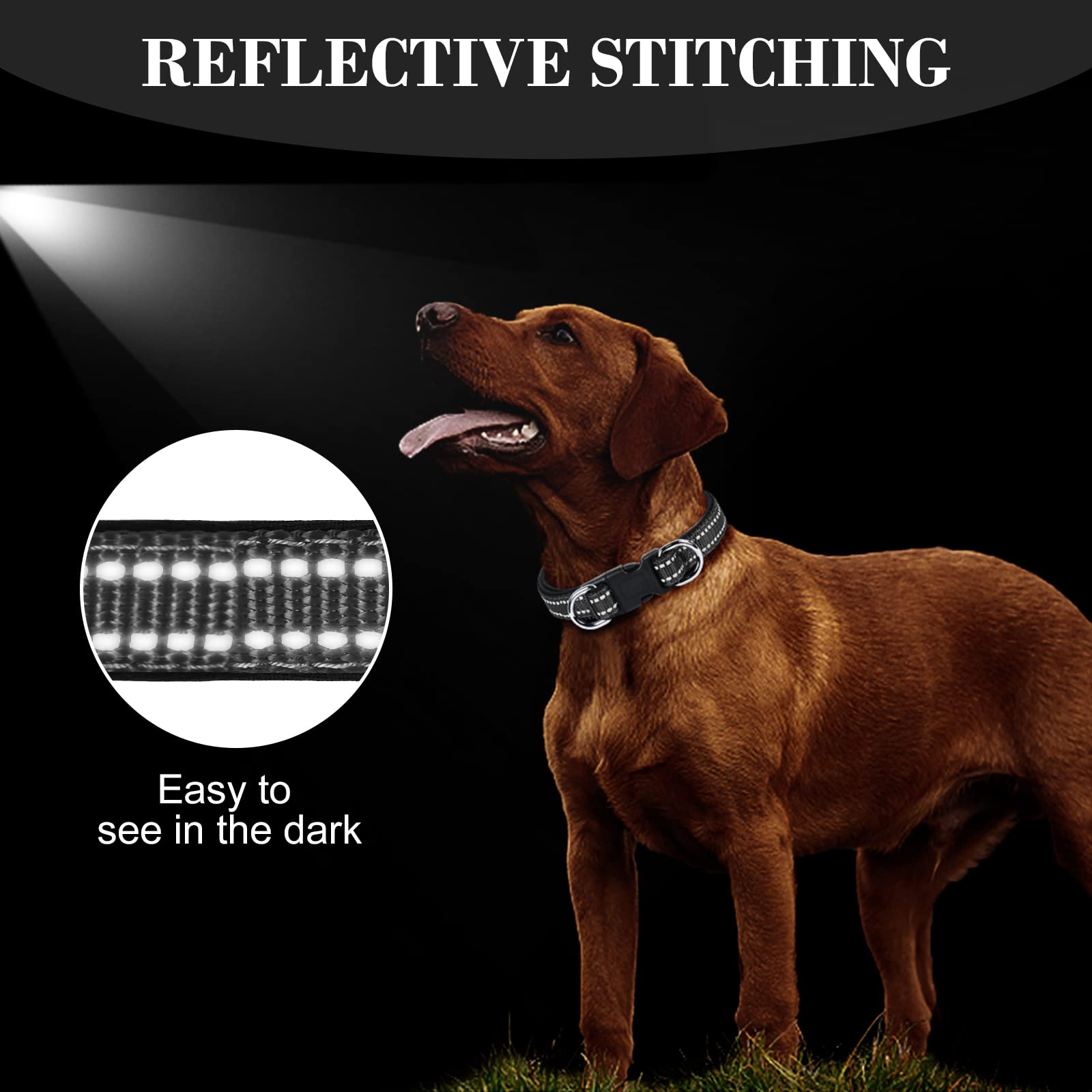 AUAUY Collare Cane, Collare per Cani in Nylon Riflettente, Regolabile Collari, Anello Doppia D, Fibbia Staccabile, Morbido e Imbottito, per Cani di Taglia Piccola, Media e Grande (Nero-L)