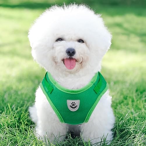 Miniatura 6 de FEimaX Juego de arnés y correa para perro, malla suave, ajustable, fácil de controlar, chaleco ligero para gatos con tiras reflectantes, a prueba de