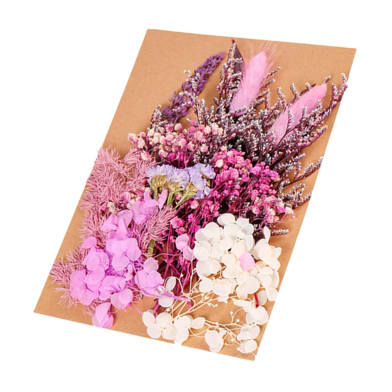 PRETYZOOM 2 Pièces 1 Fleurs séchées décoratives bouda Decoration Interieure décoration intérieure Fleur sechee gypsophile Bouquet de Fleurs séchées Plantes séchées Fleurs fraîches conservées