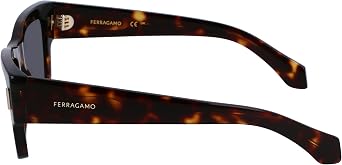 Ferragamo Men's 53Mm Sunglasses, Havana