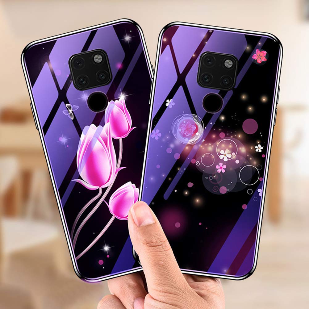 Shilajit powder (10)