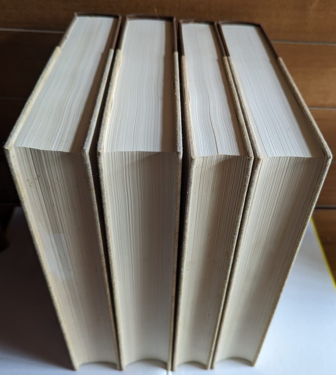 世界素描大系 全4巻セット 世界素描大系 全4巻（別巻共6冊） 【函少シミ】(講談社