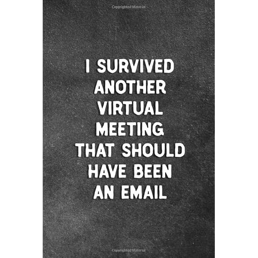 I Survived Another Virtual Meeting That Should Have Been An Email: Blank Lined Notebook Snarky Sarcastic Gag Gift For Work From Home Employees