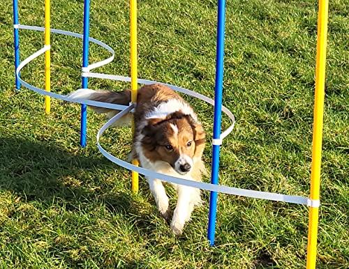 Wuzzmann Agility - Slalom - AUSBILDUNGSSET MIT 4 SLALOMBÖGEN/TRAININGSBÖGEN + 6 SLALOMSTANGEN GELB/BLAU