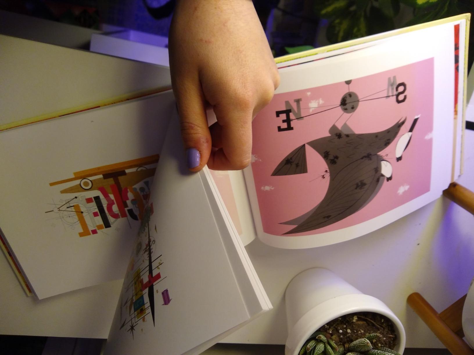 Harper is so much more than cute birds