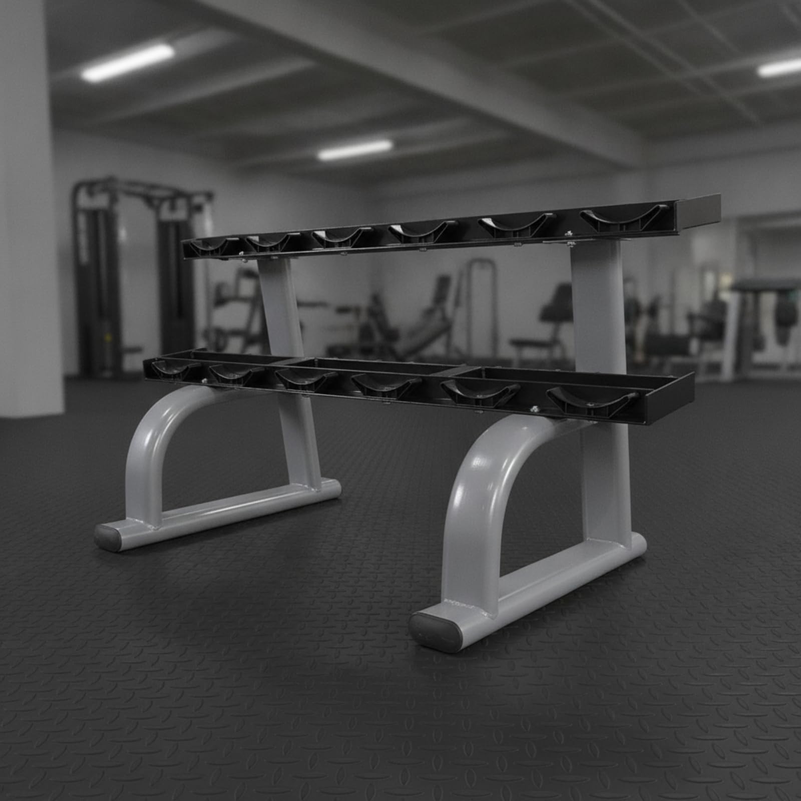 TISHITA Stabil Kurzhantelregal | Schützende Endkappen, Hantelablage, platzsparende Aufbewahrung, Hantelständ, für Home Gym, Fitnessbegeistte