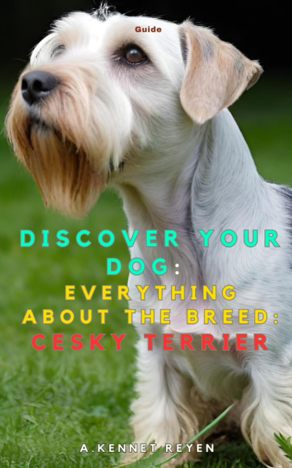 Discover your dog: Everything about the breed: Cesky Terrier