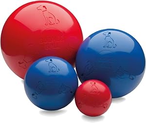 BOOMER BALL 8 Inch, Virtually Indestructible Best Dog Toy, Boredom Busting Football, Tough & Durable Large Dog Ball, Floats On Water, Great Mental Stimulation & High Energy Dogs, Assorted Colours